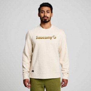 Cream Saucony Recovery Crew Men's Sweatshirt | ISRAEL DRPMIU