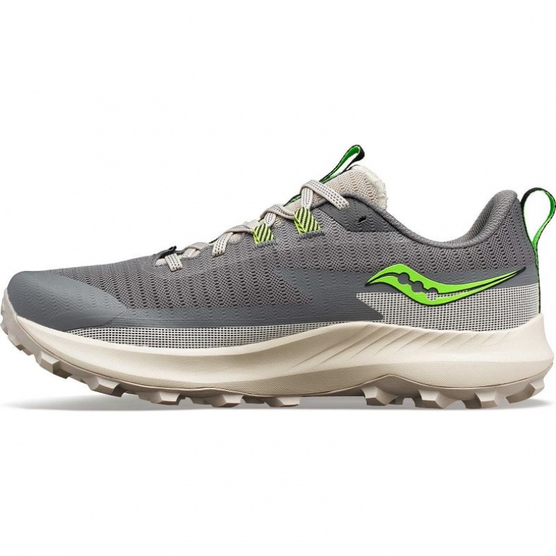 Grey Saucony Peregrine 13 Men's Trail Running Shoes | ISRAEL EWBZCY