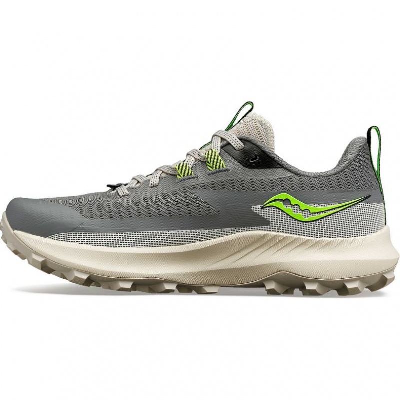 Grey Saucony Peregrine 13 Women's Trail Running Shoes | ISRAEL JUFKDM