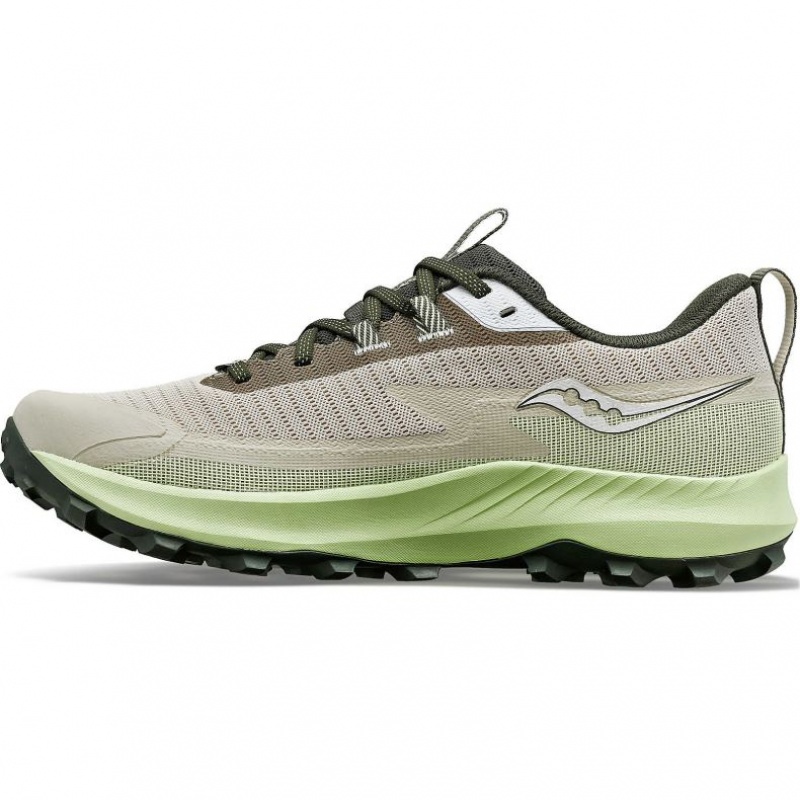 Grey / Mint Saucony Peregrine 13 GTX Men's Running Shoes | ISRAEL TXECOJ