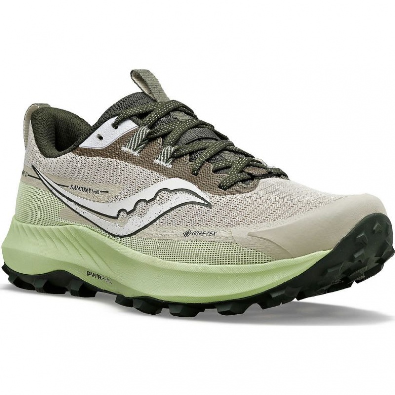 Grey / Mint Saucony Peregrine 13 GTX Men's Running Shoes | ISRAEL TXECOJ