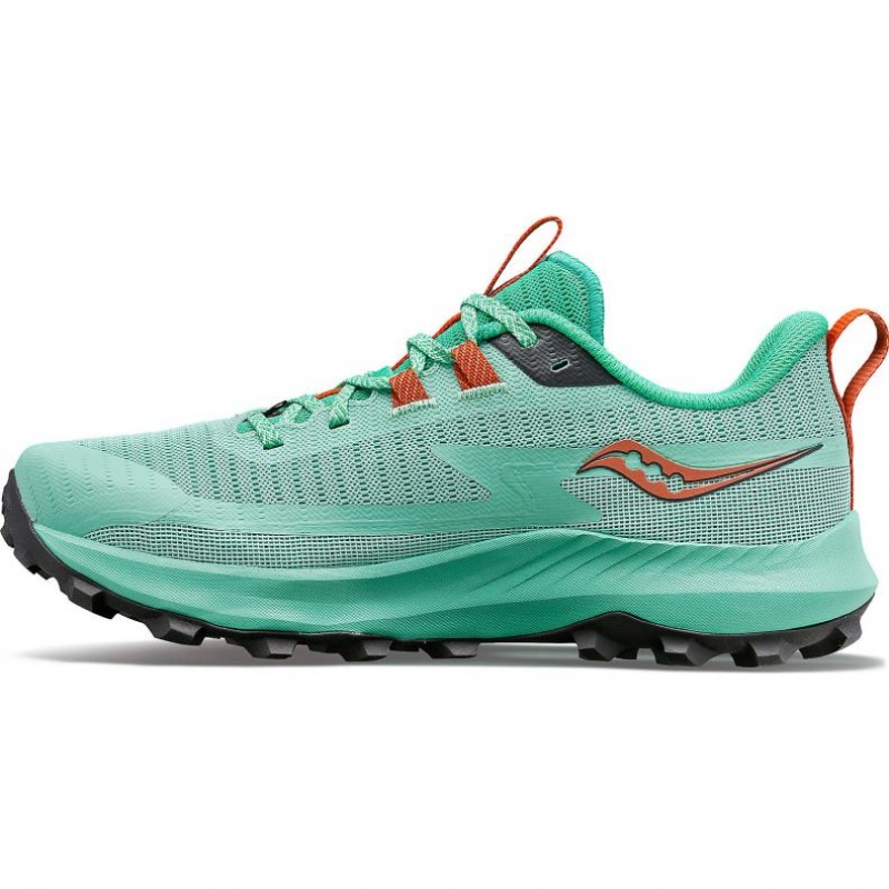 Turquoise Saucony Peregrine 13 Women's Trail Running Shoes | ISRAEL XTKGJC