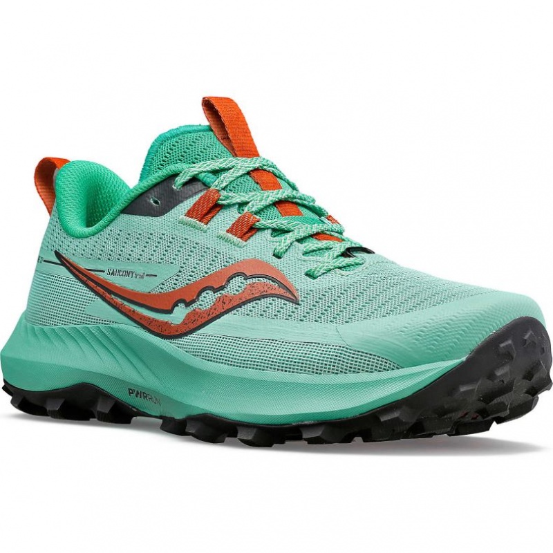 Turquoise Saucony Peregrine 13 Women's Trail Running Shoes | ISRAEL XTKGJC